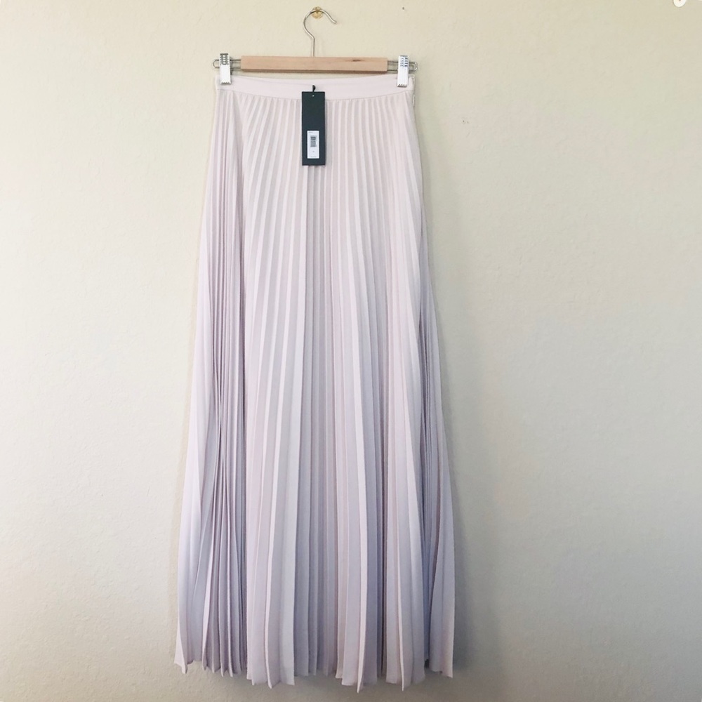 Banana Republic Pleated Maxi Skirt, 0